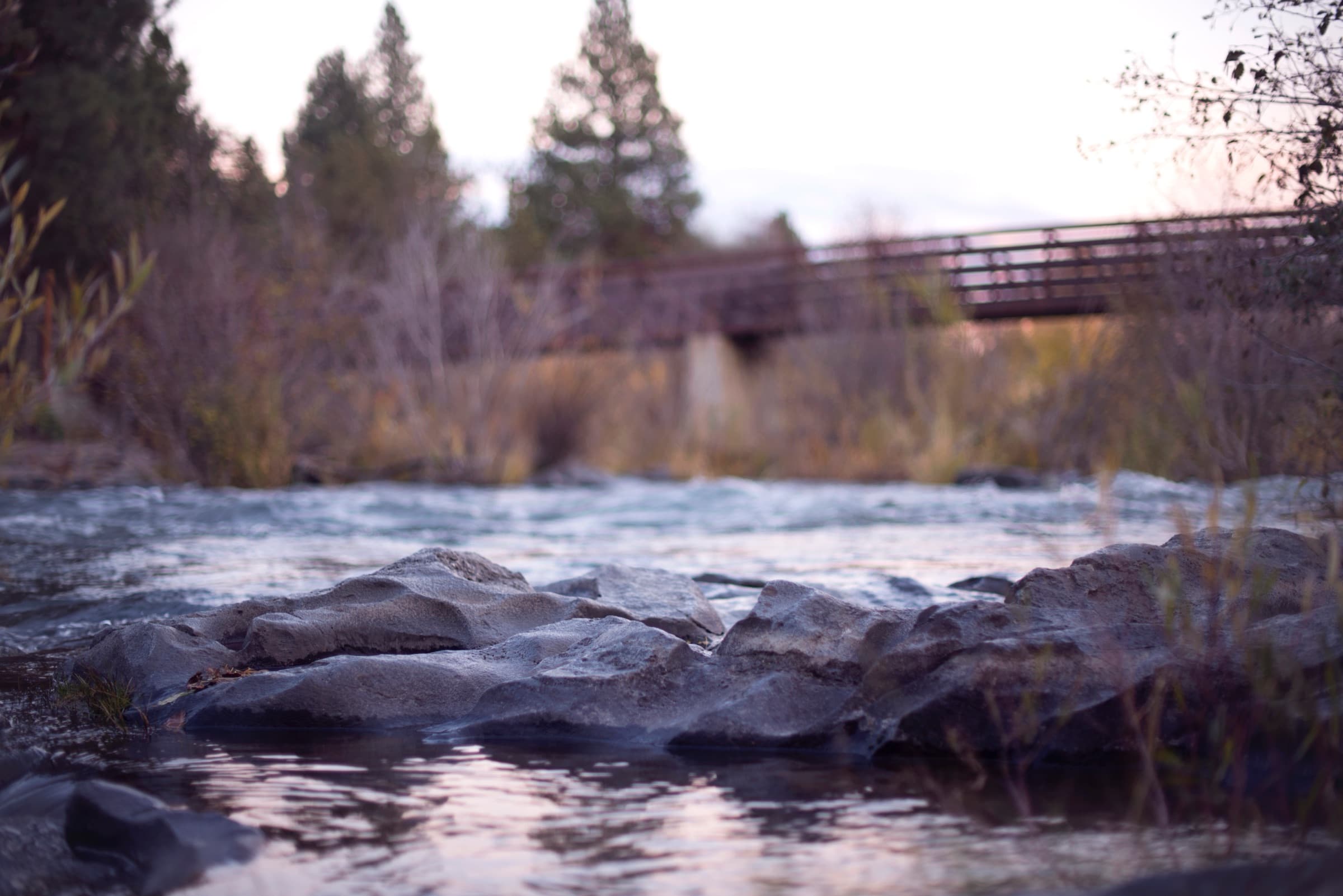 River rapids over smooth rocks, with a footbridge and pines at dusk